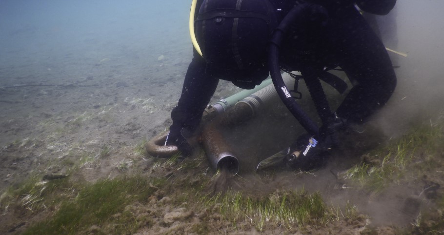 Divers Remove Invasive Plants in Emerald Bay