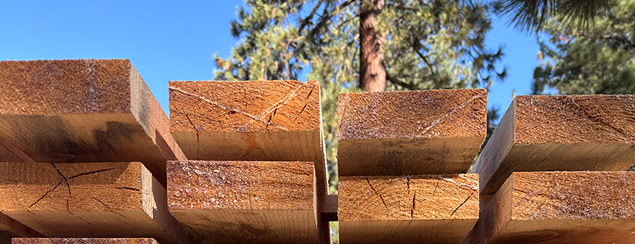 From Trees to Transit: Project to Build Bus Shelters from Local Lumber